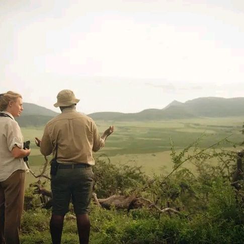 Walking Safari